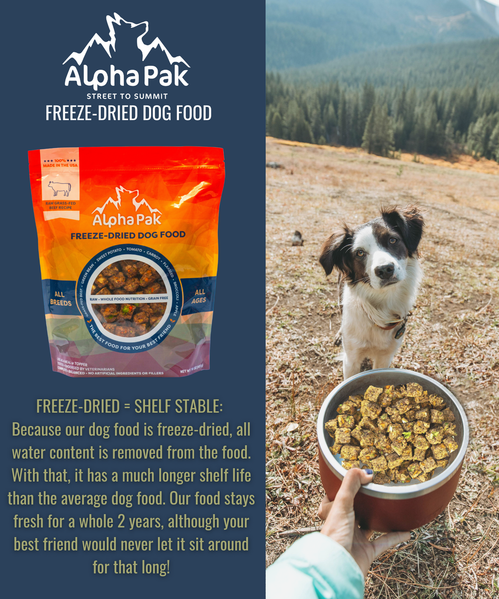 Freeze-Dried Raw Beef