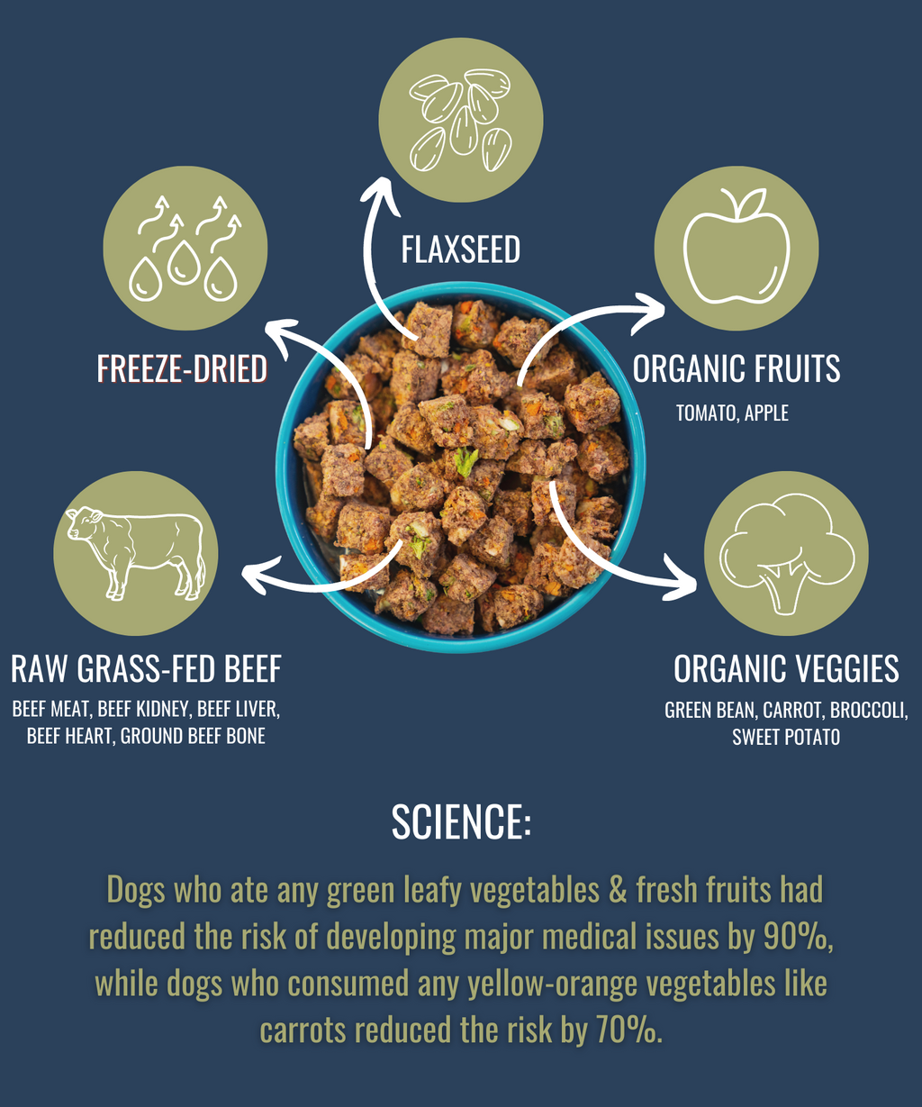 Freeze-Dried Raw Beef