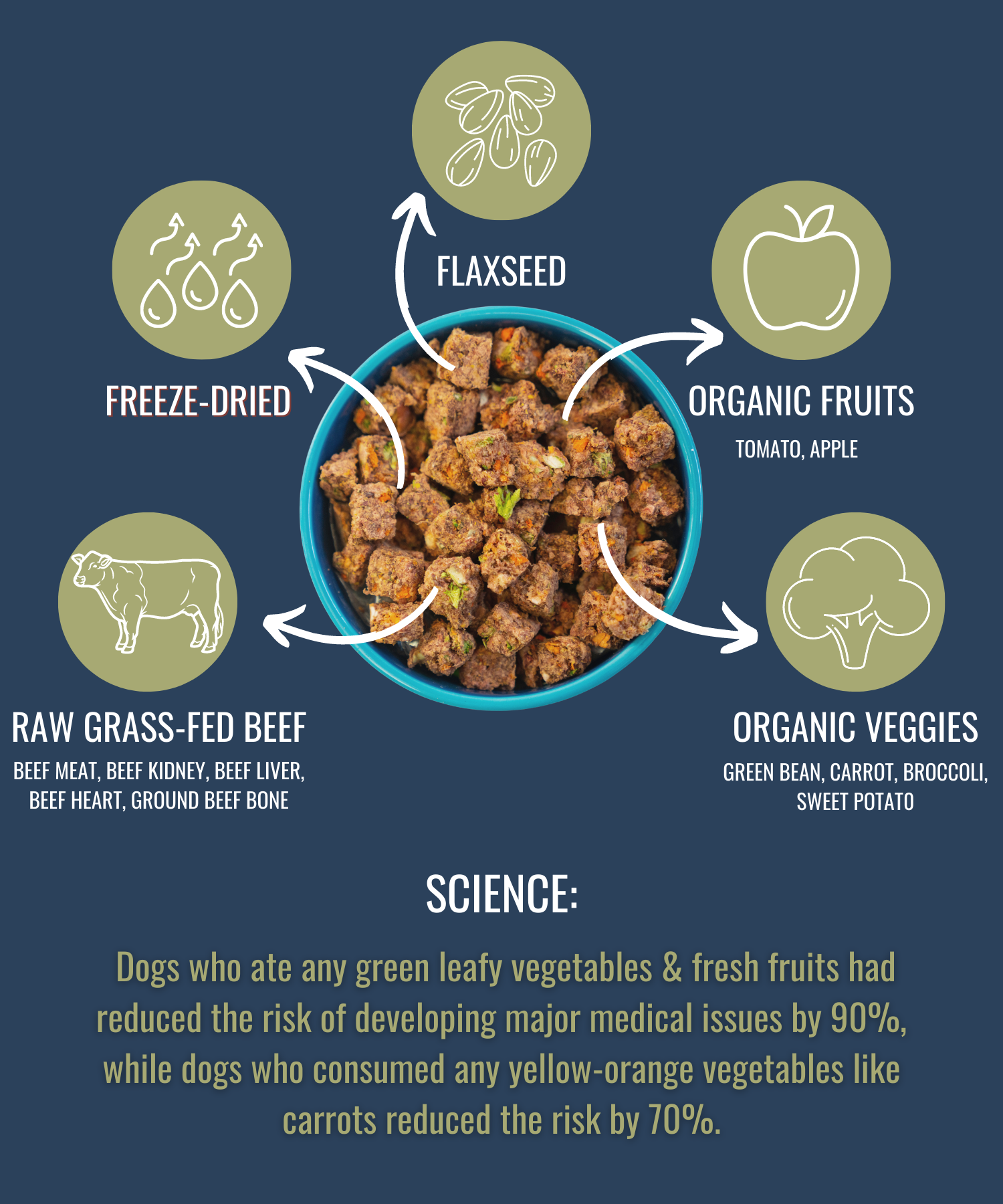 Freeze-Dried Raw Beef
