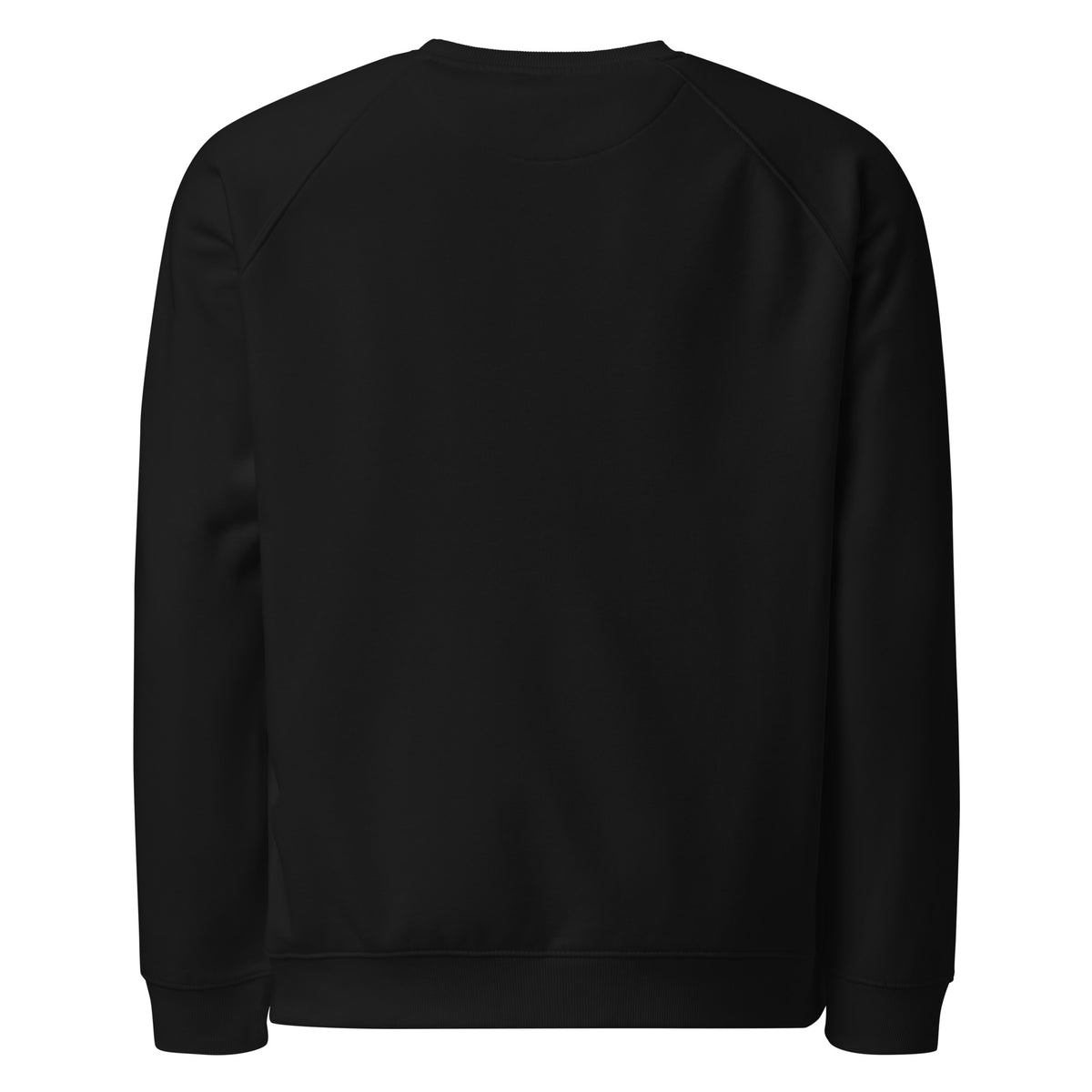 Unisex black John 3:16 organic raglan sweatshirt with white lettering, casual fit, front and back view.