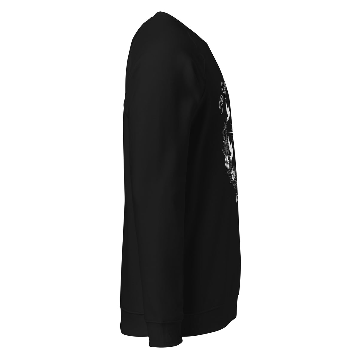 Unisex black John 3:16 organic raglan sweatshirt from Tristan's Outlet, featuring a casual fit and printed religious message.